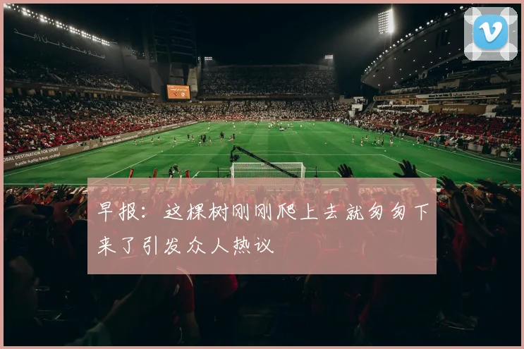 早报：这棵树刚刚爬上去就匆匆下来了引发众人热议