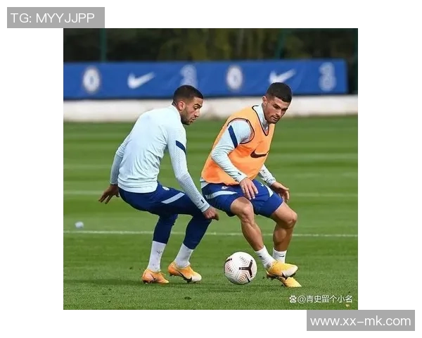 热刺认真评估买断帕利尼亚与弗兰克良好关系助力转会